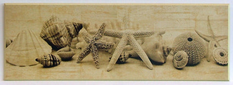 Obraz - Muszle, morskie skarby II- reprodukcja fotografii, na płycie IS5282 91x31 cm. - Obrazy Reprodukcje Ramy | ergopaul.pl