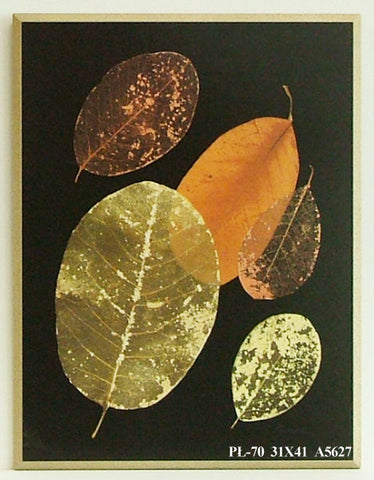 Obraz - Zasuszone liście, kompozycja I - reprodukcja A5627 na płycie 31x41 cm - Obrazy Reprodukcje Ramy | ergopaul.pl