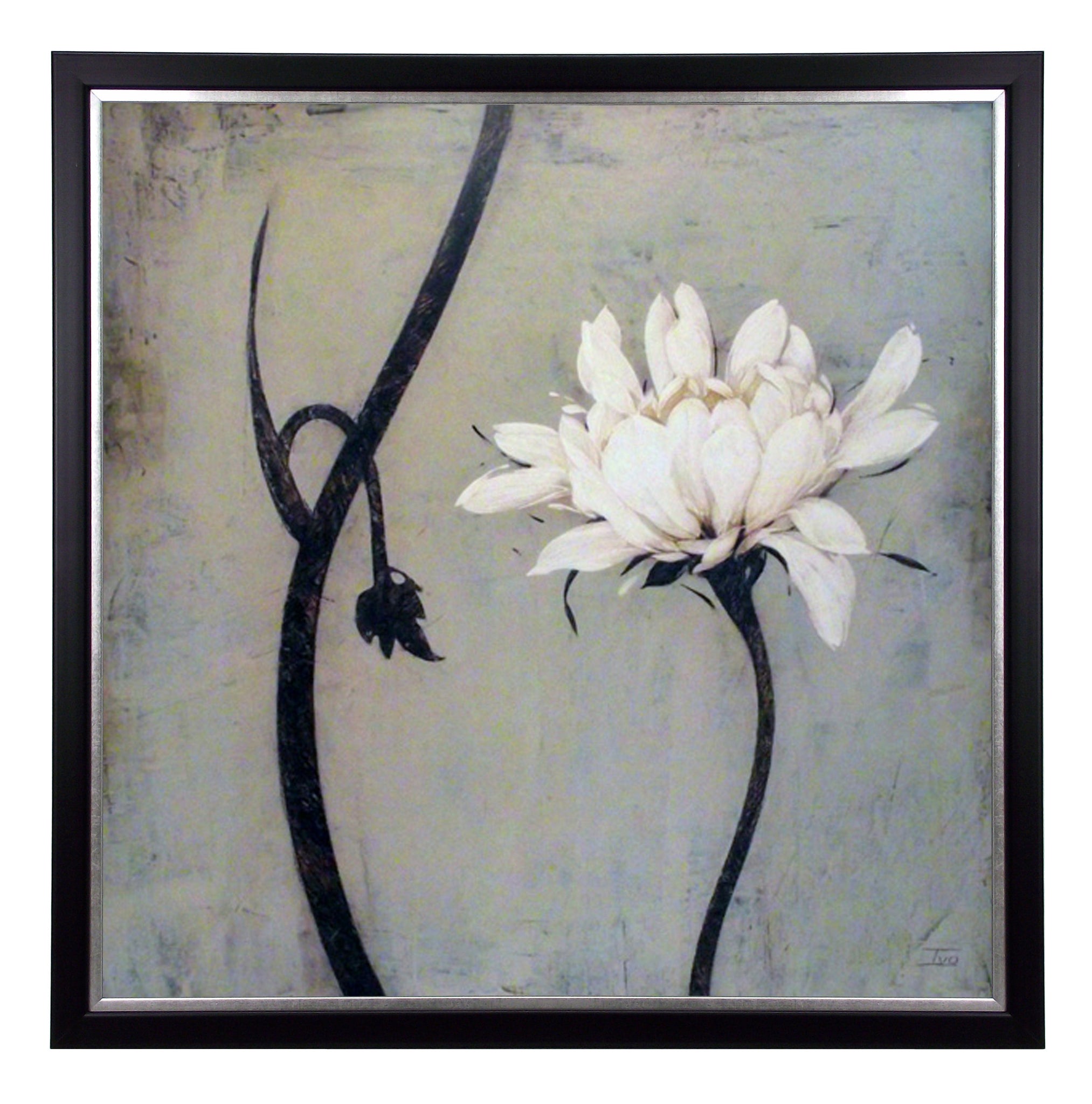 Obraz - Biały kwiat i łodygi - reprodukcja A5256 w ramie 70x70 cm