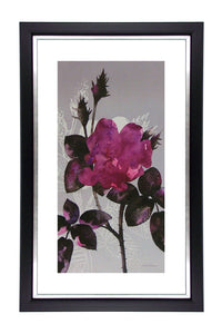 Obraz - Gałązka z kwiatem róży - reprodukcja A7112 w ramie 35x60