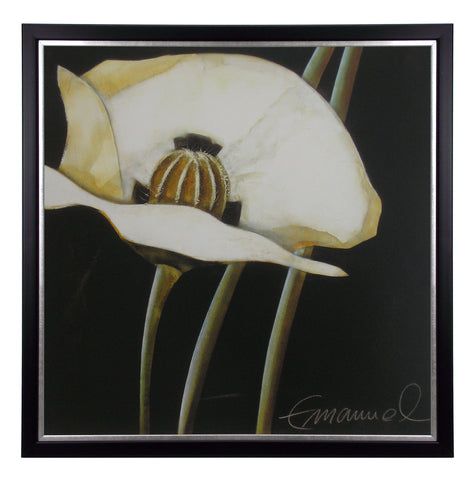 Obraz - Biały kwiat maku - reprodukcja AP185 w ramie 70x70 cm