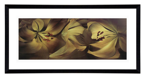 Obraz - Lilie - reprodukcja W353 w ramie 91x46 cm