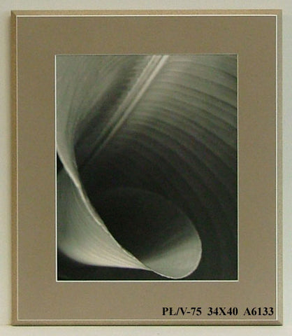 Obraz - Liść, kadr - reprodukcja na płycie A6133 34x40 cm - Obrazy Reprodukcje Ramy | ergopaul.pl