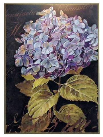 Obraz - Duża główka kwiatu, niebieska hortensja - reprodukcja AB4507 na płycie 61x81 cm. Ostatnia sztuka! - Obrazy Reprodukcje Ramy | ergopaul.pl