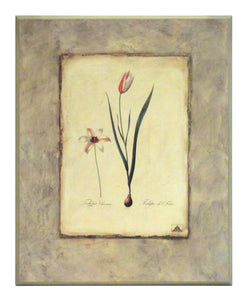 Obraz - Kwiaty cebulowe, Tulipan - reprodukcja A2297 na płycie 41x51 cm. - Obrazy Reprodukcje Ramy | ergopaul.pl