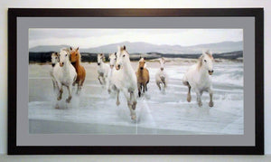 Obraz - Konie na plaży - reprodukcja w ramie 2AP981 110x60 cm - Obrazy Reprodukcje Ramy | ergopaul.pl