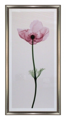 Obraz - Kwiat anemon, X-Ray - reprodukcja w ramie SM191T 36x77 cm - Obrazy Reprodukcje Ramy | ergopaul.pl