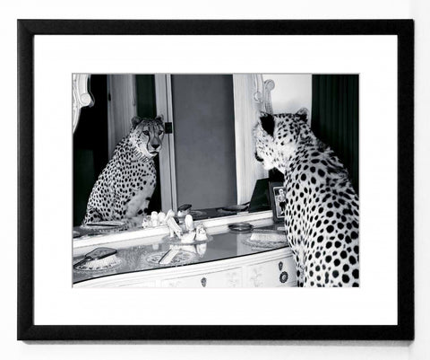 Obraz - Gepard w mieście, przeglądający się w lustrze, czarno-biała fotografia - reprodukcja 3AP2748-40 oprawiona w ramę 50x40 cm - Obrazy Reprodukcje Ramy | ergopaul.pl