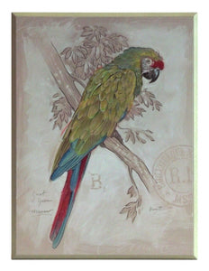 Obraz - Limonkowa Papuga - reprodukcja A8029 na płycie 31X41 cm. - Obrazy Reprodukcje Ramy | ergopaul.pl