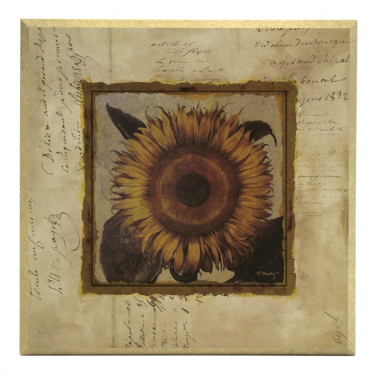Obraz - Złota kolekcja - kwiaty, słonecznik - reprodukcja A2560 na płycie 31x31 cm. - Obrazy Reprodukcje Ramy | ergopaul.pl