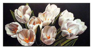 Obraz - Pęk białych tulipanów - Decograph 2SE513 101x51 cm - Obrazy Reprodukcje Ramy | ergopaul.pl