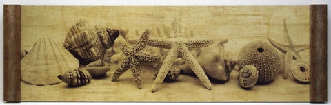Obraz - Muszle, morskie skarby II- reprodukcja fotografii w półramie IS5282 90x30 cm. - Obrazy Reprodukcje Ramy | ergopaul.pl