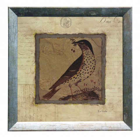 Obraz - Srebrna kolekcja - Ptaki, Drozd - reprodukcja A2575 w ramie 30x30 cm. - Obrazy Reprodukcje Ramy | ergopaul.pl