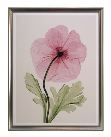 Obraz - Kwiat maku, fotografia X-Ray - reprodukcja oprawiona w ramę SM182T 50x65 cm. - Obrazy Reprodukcje Ramy | ergopaul.pl