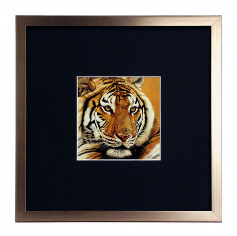 Obraz - Portret Tygrysa - reprodukcja IGP2708 oprawiona w ramkę koloru rose gold z passe-partout 30x30 cm. - Obrazy Reprodukcje Ramy | ergopaul.pl