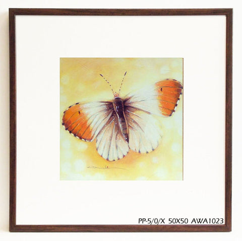 Obraz - Kolorowy motyl - reprodukcja w ramie AWA1023 50x50 cm - Obrazy Reprodukcje Ramy | ergopaul.pl