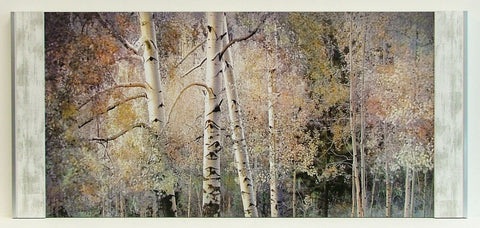 Obraz Drzewa, las, brzozy - reprodukcja na płycie w półramie NF10581 96x50 cm. - Obrazy Reprodukcje Ramy | ergopaul.pl