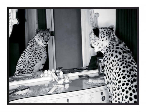 Obraz - Gepard w mieście, przeglądający się w lustrze, czarno-biała fotografia - reprodukcja 3AP2748-40 na płycie  41x31 cm - Obrazy Reprodukcje Ramy | ergopaul.pl