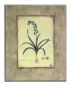 Obraz - Kwiaty cebulowe, Hiacynt - reprodukcja A2298 na płycie 41x51 cm. - Obrazy Reprodukcje Ramy | ergopaul.pl